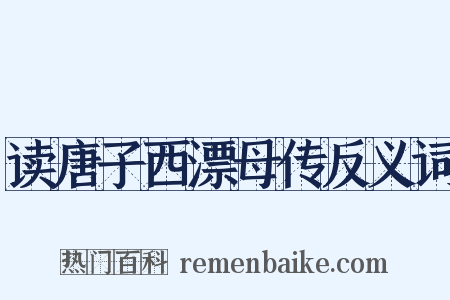 读唐子西漂母传反义词是什么意思的图片